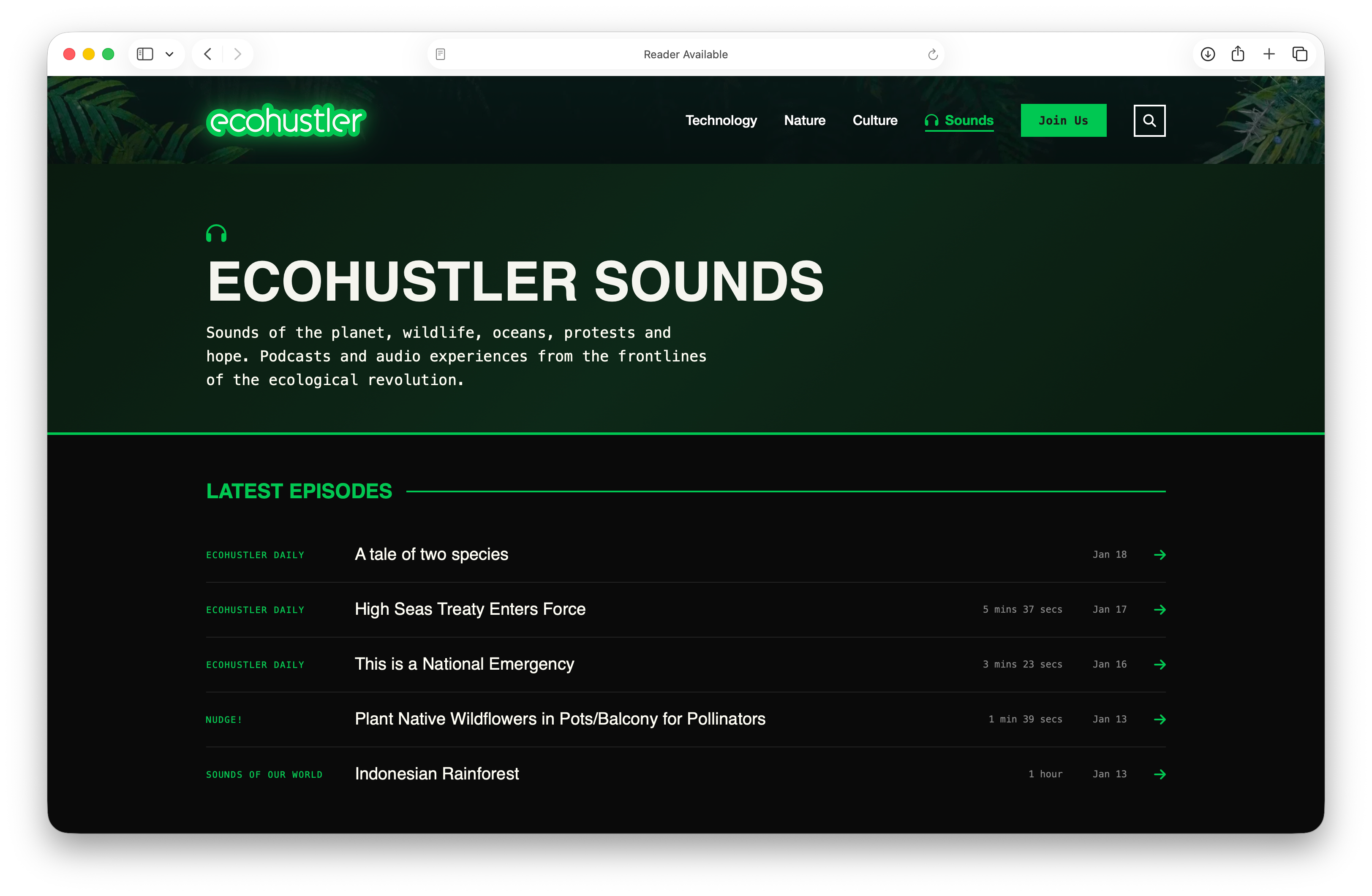 Ecohustler screenshot 2